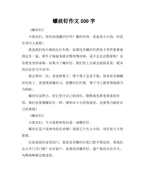 螺丝钉作文500字