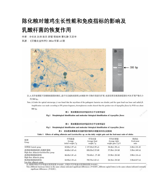 陈化粮对雏鸡生长性能和免疫指标的影响及乳酸杆菌的恢复作用