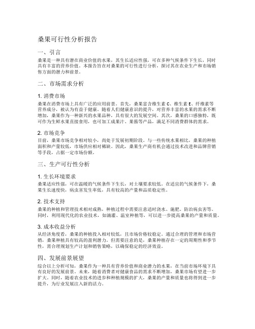 桑果可行性分析报告