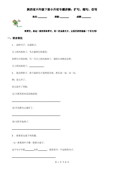 陕西省六年级语文下册小升初专题讲解：扩句、缩句、仿写