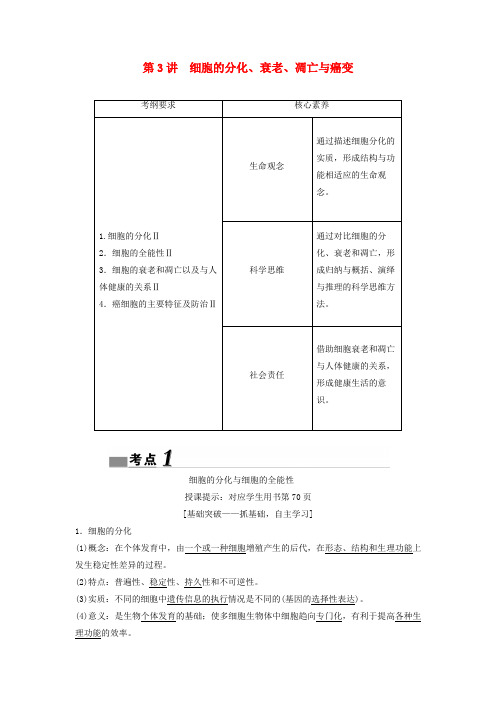 (新课标)高考生物一轮总复习第4单元第3讲细胞的分化、衰老、凋亡与癌变教案