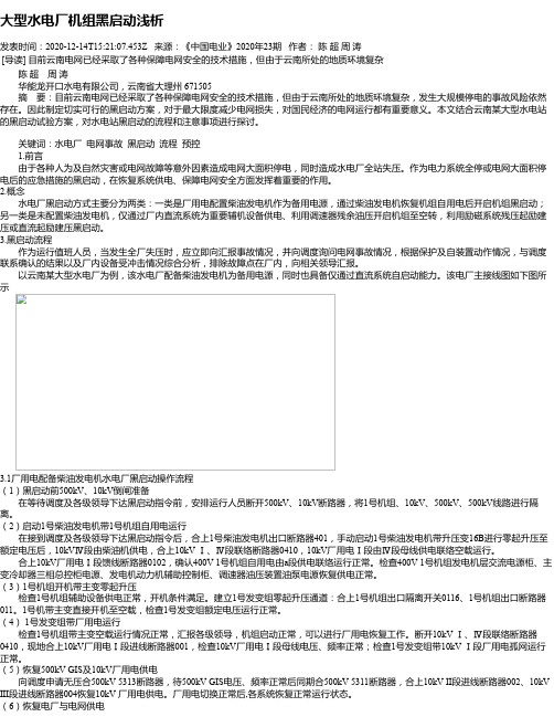 大型水电厂机组黑启动浅析