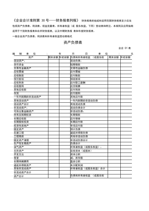 最新财务报表标准格式-完整