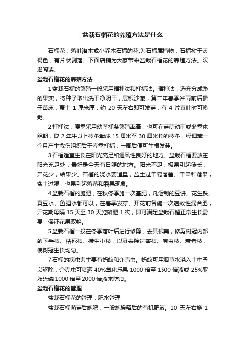 盆栽石榴花的养殖方法是什么