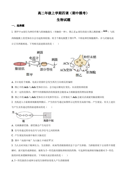 山东省临沂市一中2022-2023学年高二上学期期中线上模拟生物试题(原卷版)