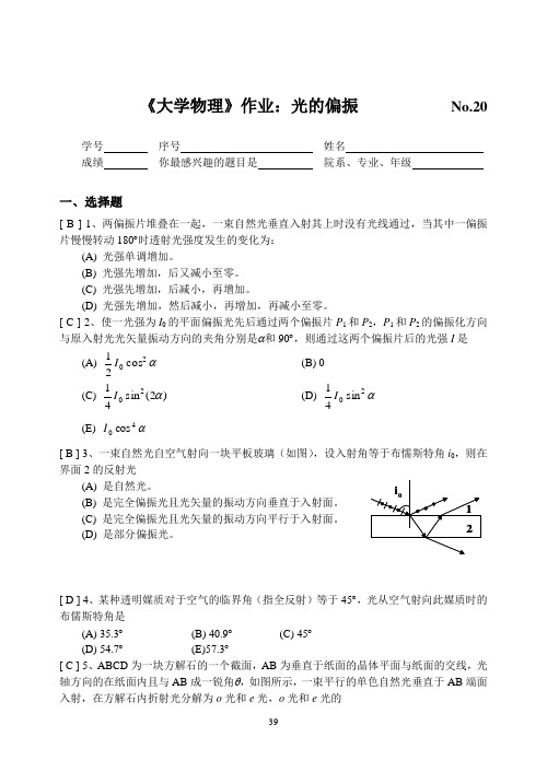 光的偏振