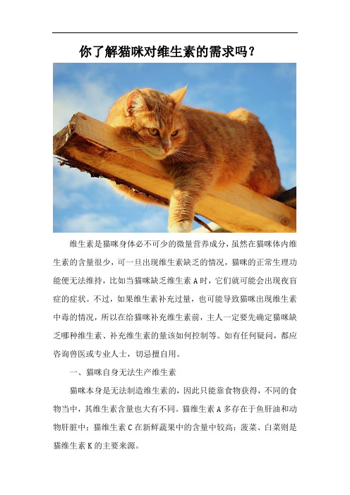 猫多维你了解猫咪对维生素的需求吗