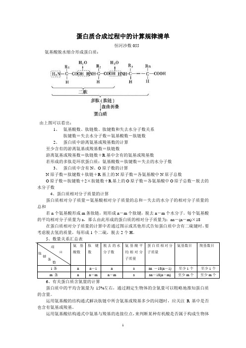 蛋白质合成过程中的计算规律清单