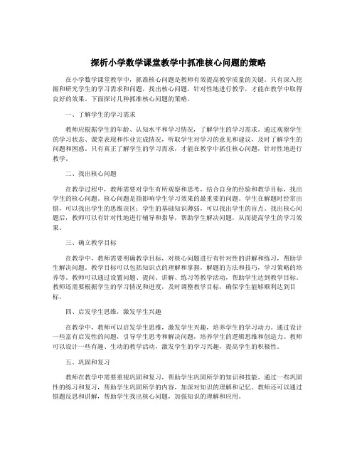 探析小学数学课堂教学中抓准核心问题的策略