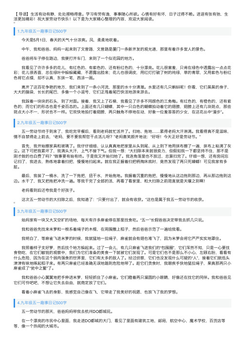 九年级五一趣事日记500字5篇