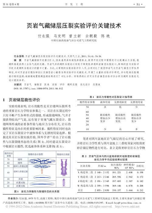 页岩气藏储层压裂实验评价关键技术_付永强