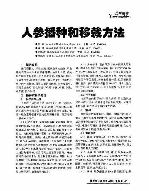 人参播种和移栽方法