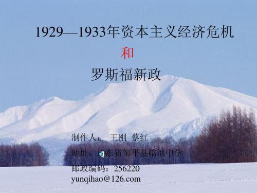 经济危机课件
