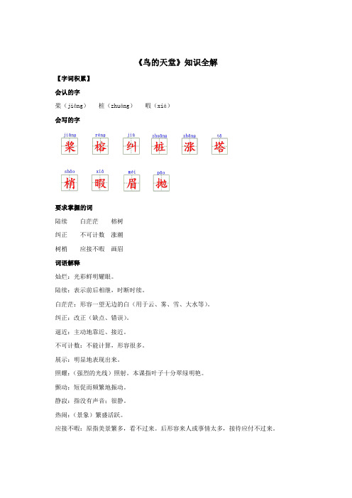 人教部编版小学五年级语文上册《鸟的天堂》知识全解