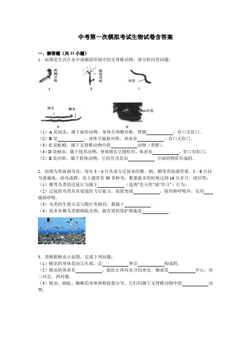 【3套试卷】潍坊市中考模拟考试生物精选