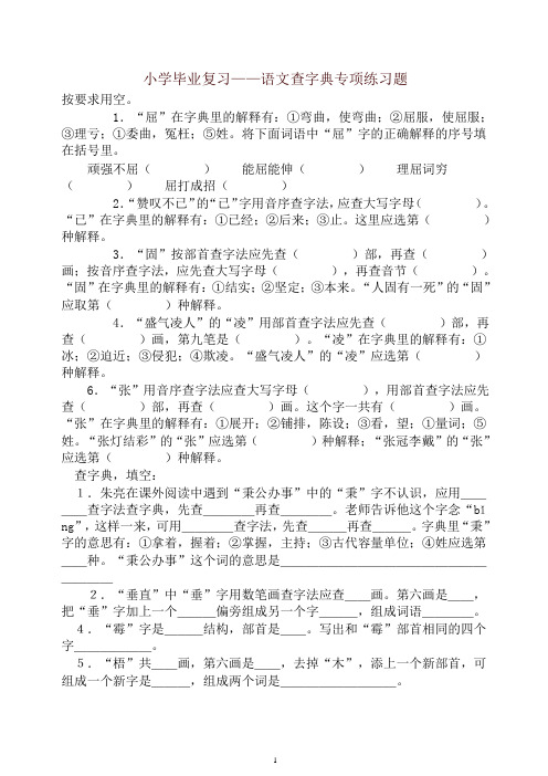【推荐】新人教版小学毕业复习——语文查字典专项练习题