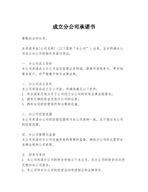 成立分公司承诺书