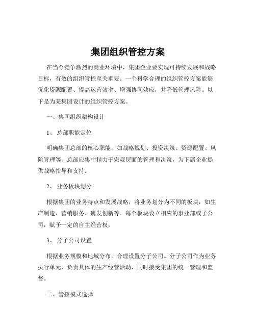 集团组织管控方案