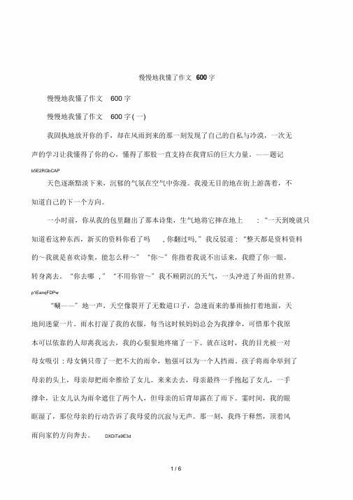 慢慢地我懂了作文600字