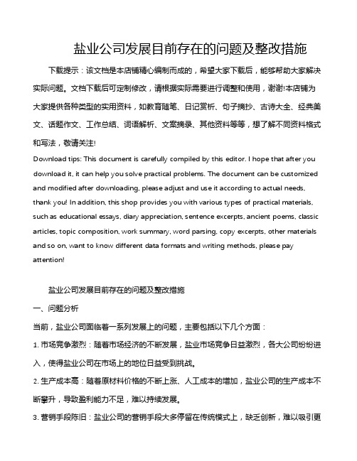 盐业公司发展目前存在的问题及整改措施