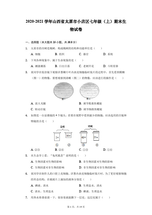 2020-2021学年山西省太原市小店区七年级(上)期末生物试卷(附答案详解)