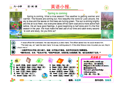 小学-英语小报