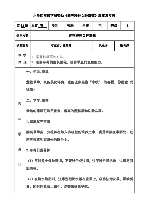 小学四年级下册劳动《养养种种2种草莓》教案及反思