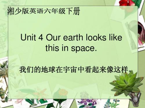 U4P1_Our_earth_looks_like_this_from_space.课件