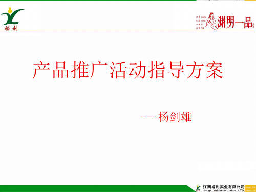 推广活动指导方案(PPT44页)