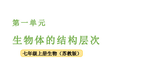 第1章 认识细胞第2节 动物细胞的结构与功能(课件)苏教版(2024)生物七年级上册