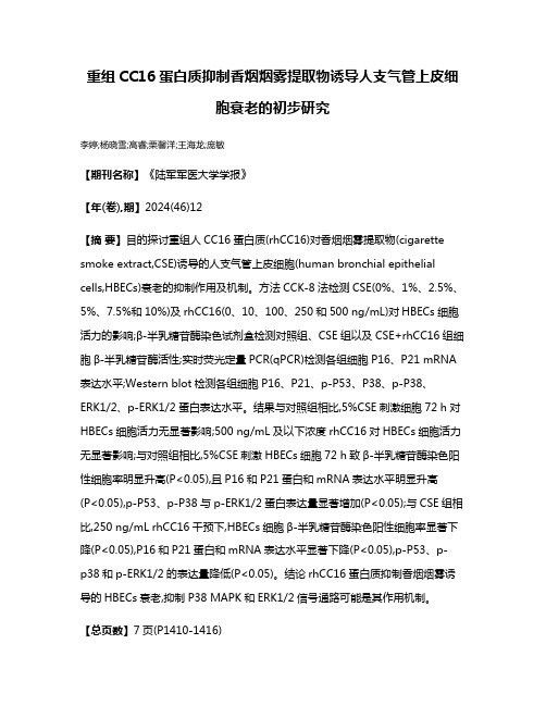 重组CC16蛋白质抑制香烟烟雾提取物诱导人支气管上皮细胞衰老的初步研究