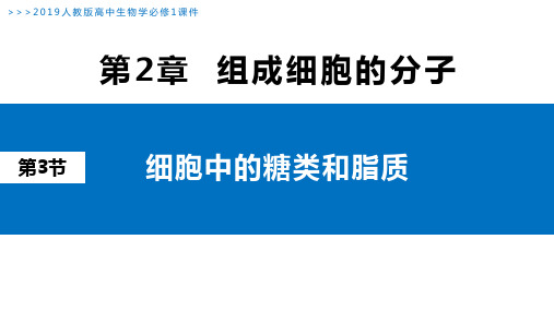 2.3 细胞中的糖类和脂质课件高一上学期生物人教版必修1