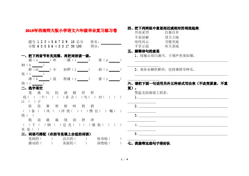 2019年西南师大版小学语文六年级毕业复习练习卷