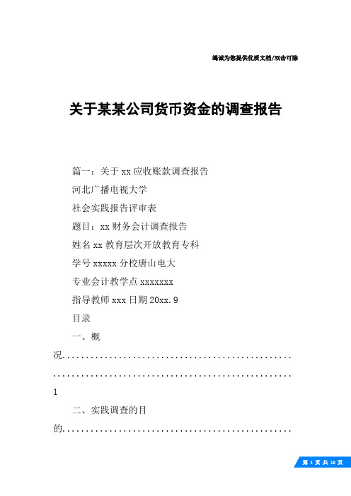 关于某某公司货币资金的调查报告