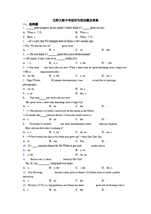 北师大版中考冠词句型试题及答案