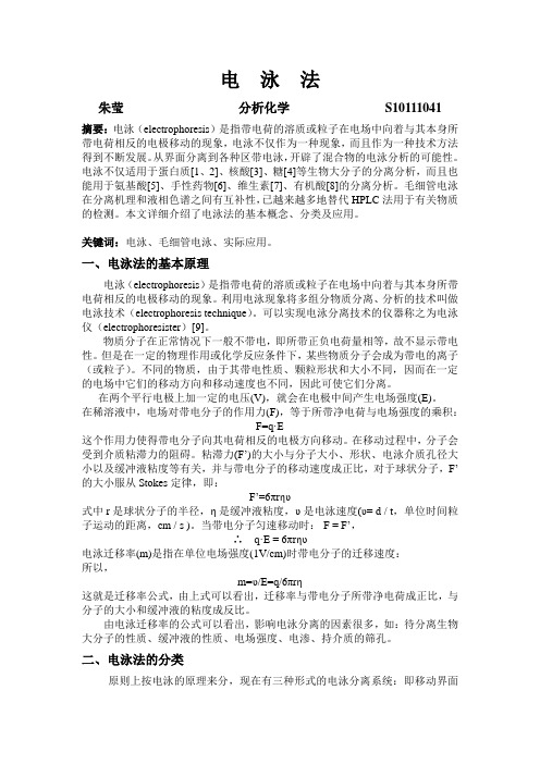 电泳法