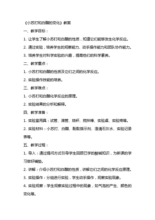 《小苏打和白醋的变化》教案