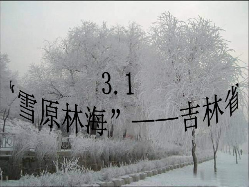 雪原林海—吉林省PPT教学课件