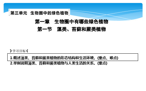 第一节 藻类、苔藓和蕨类植物
