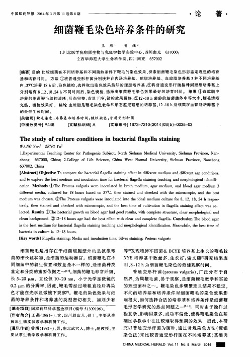 细菌鞭毛染色培养条件的研究