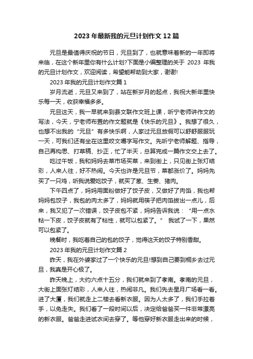 2023年最新我的元旦计划作文12篇