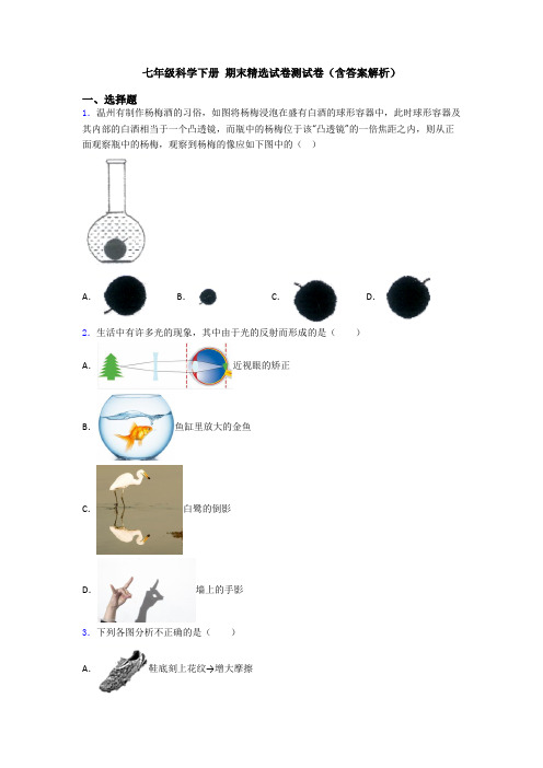 七年级科学下册 期末精选试卷测试卷(含答案解析)