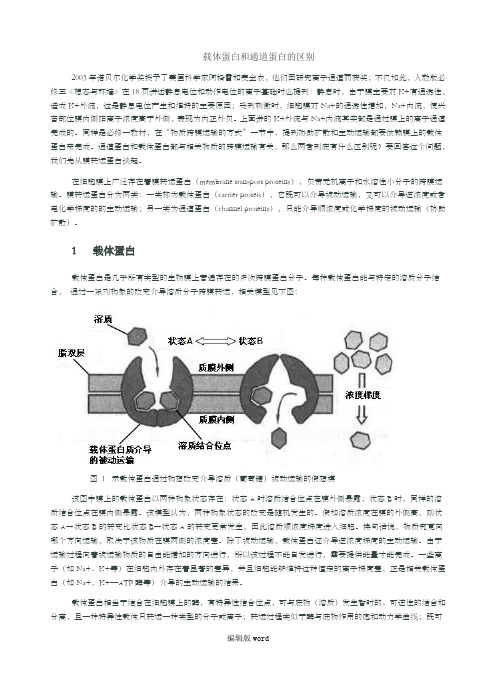 载体蛋白和通道蛋白的区别