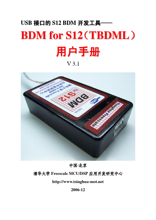 BDM_for_S12_TBDML_用户手册V31