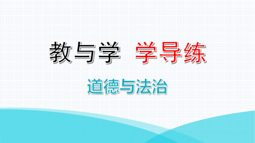 第九课  第一课时  认识总体国家安全观(人教版八年级上册道德与法治课件)