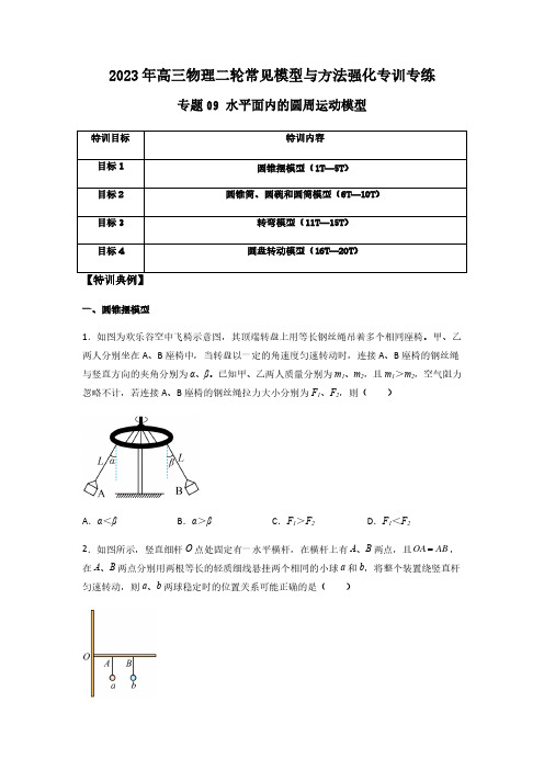 专题09 水平面内的圆周运动模型(原卷版)