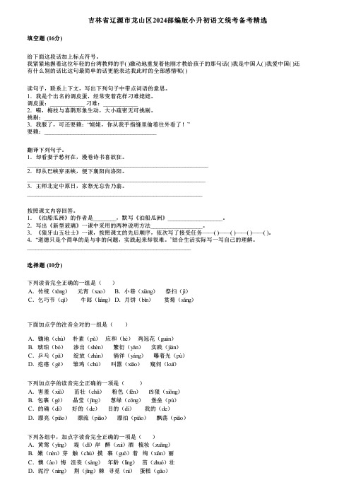 吉林省辽源市龙山区2024部编版小升初语文统考备考精选