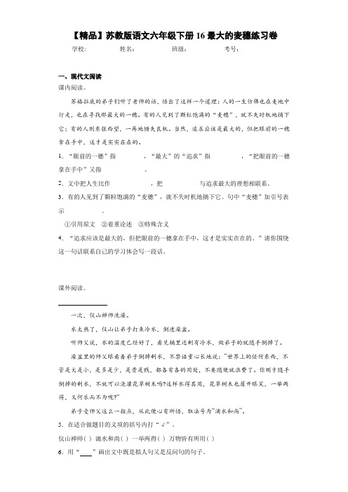 小学语文六年级下册16最大的麦穗练习卷(含答案解析)