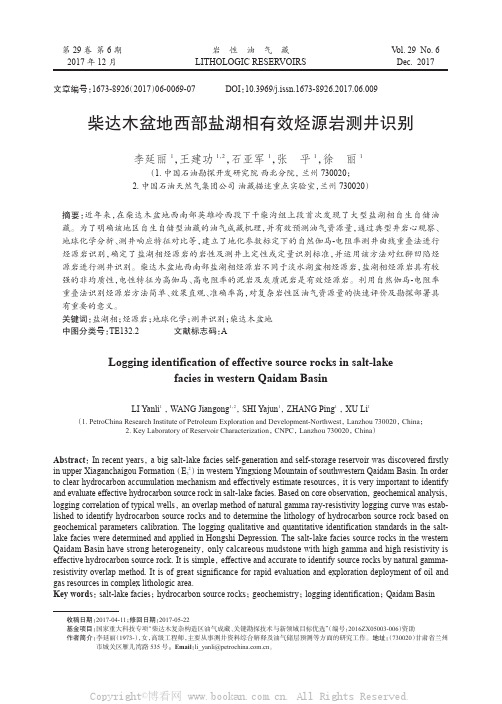 柴达木盆地西部盐湖相有效烃源岩测井识别