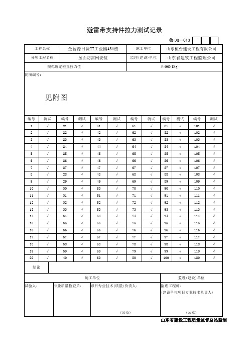 避雷支架拉力试验